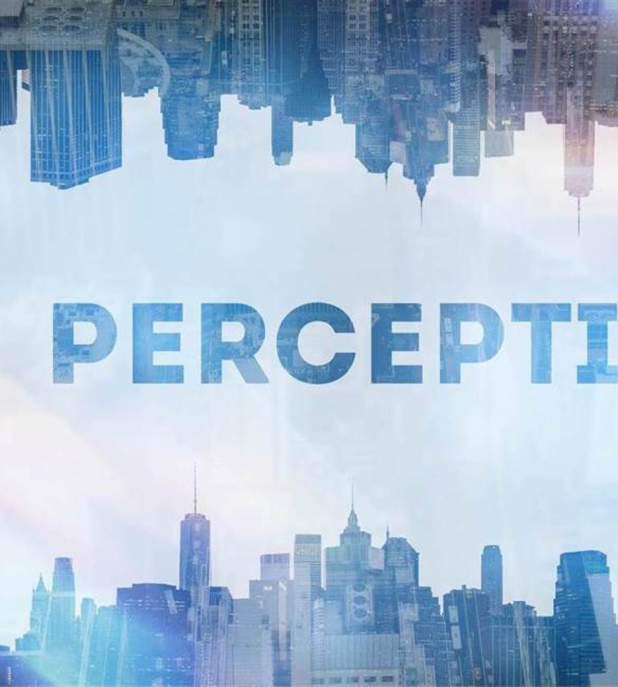 perception